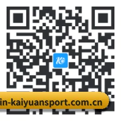 华为鸿蒙版 二维码